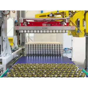 Efficient Palletizer Transport Safety Equipment