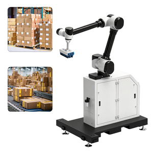 WP-50 Smart Automatic Carton Case Handling Packaging System